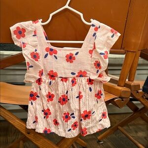 Zara Pink and Red Floral Baby Dress